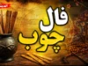 فال چوب امروز شنبه ۷ شهریور ۱۴۰۵ | تعبیر فال چوب برای عشق، پول، کار و آینده متولدین تمام ماه ها