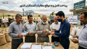 آخرین خبر از پرداخت مطالبات گندمکاران ۱۴۰۵ | واریز ۱۰۰ همت تا ۲۲ مرداد؛ ۱۴۰ همت طلب گندمکاران باقی ماند