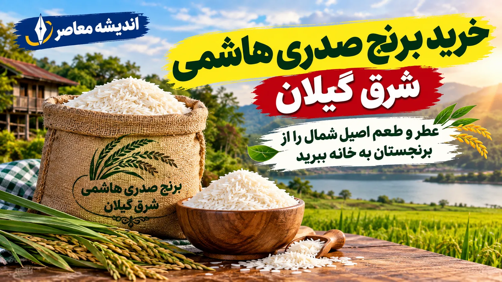 برنج هاشمی گیلان چرا محبوب است؟