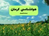 اخبار فوری هواشناسی کرمان | رگبار و رعد و برق و وزش باد شدید در جنوب کرمان برای یکشنبه ۱۵ شهریور / بر اساس هشدار سازمان هواشناسی ، فعالیت سامانه بارشی در ارتفاعات جنوبی و مرکزی کرمان ادامه دارد اما مرکز استان هوای گرم و نسبتاً پایداری را تجربه می کند