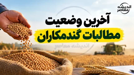 آخرین اخبار مطالبات گندمکاران ۱۴۰۵؛ واریز جدید به حساب کشاورزان و زمان پرداخت باقی‌مانده مطالبات گندم