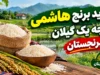 خرید برنج هاشمی درجه یک گیلان؛ برنج اصیل شمال را از فروشگاه معتبر برنجستان بخرید/ لینک خرید بهترین برنج ایرانی berenjestan.com