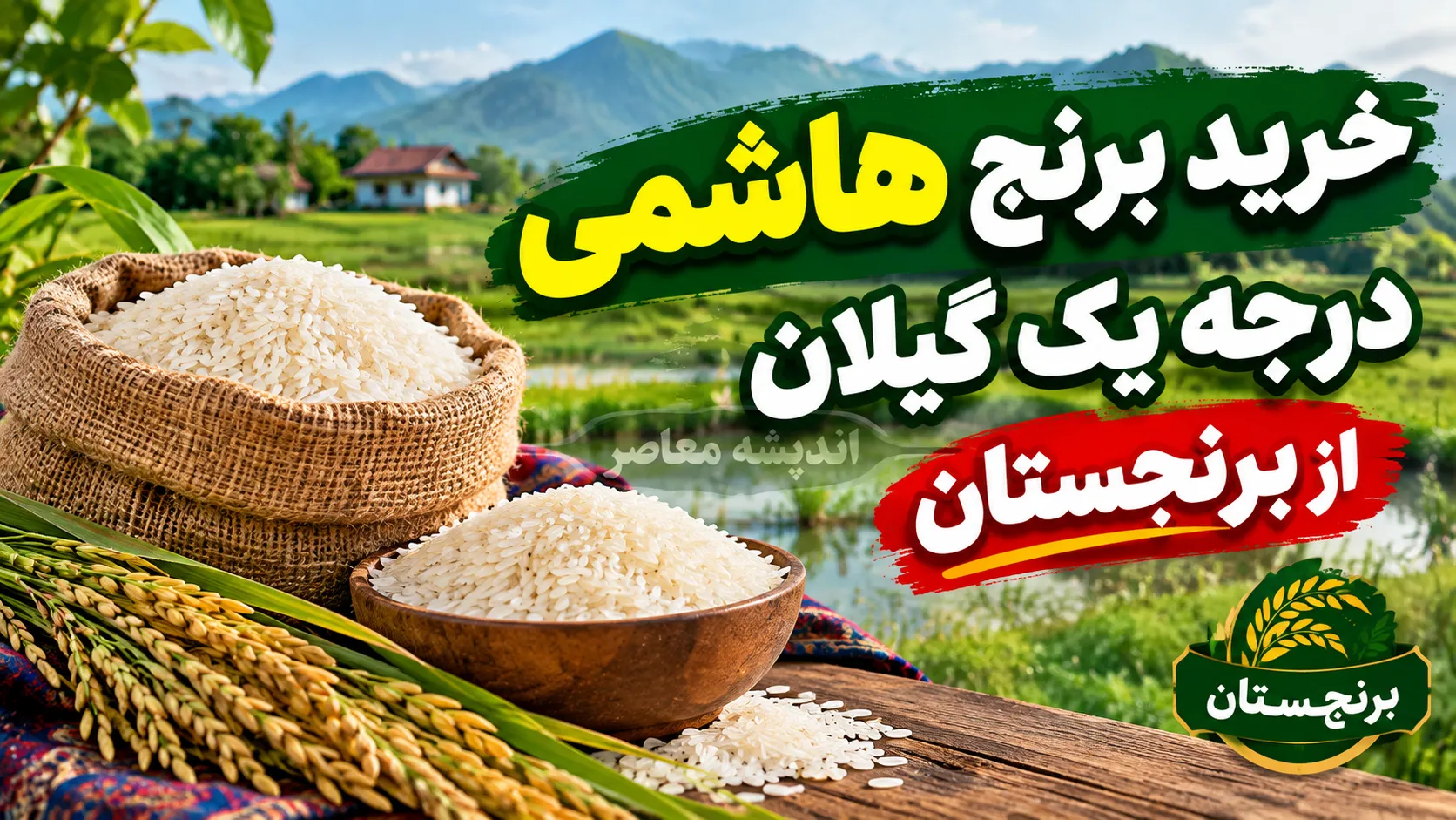 خرید برنج هاشمی درجه یک گیلان؛ برنج اصیل شمال را از فروشگاه معتبر برنجستان بخرید/ لینک خرید بهترین برنج ایرانی berenjestan.com
