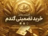 قیمت خرید تضمینی گندم چه زمانی اعلام می‌شود؟ آخرین خبر از نرخ گندم و زمان اعلام رقم نهایی