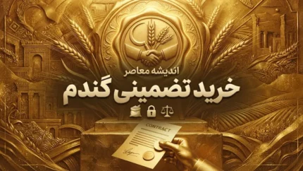 قیمت خرید تضمینی گندم در نیمه دوم سال ۱۴۰۵ | نرخ گندم ۱۴۰۵-۱۴۰۶ چند تومان می شود؟ رقم ۸۵ هزار تومان روی میز شورای قیمت گذاری