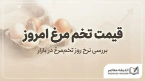قیمت تخم مرغ امروز؛ هر شانه تخم مرغ چند شد؟ | جزئیات قیمت تخم مرغ فله و بسته بندی
