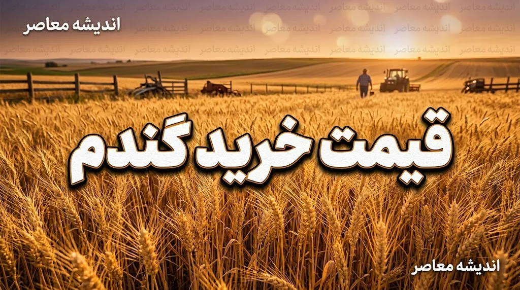 قیمت خرید گندم ۱۴۰۵؛ نرخ هر کیلو گندم چقدر است؟ | آخرین خبر از مطالبات گندمکاران
