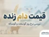 قیمت دام زنده امروز؛ نرخ گوسفند و گوساله زنده در بازار چقدر است؟