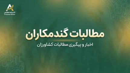 آخرین خبر از مطالبات گندمکاران در ۳۱ شهریور ۱۴۰۵؛ زمان واریز باقی پول گندم اعلام شد