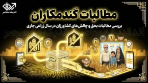 مطالبات گندمکاران | پرداخت ۷۰ درصد انجام شد + مهلت تسویه ۳۰ درصد باقی‌مانده تا پایان شهریورماه و هشدار درباره تأخیر در کشت پاییزه