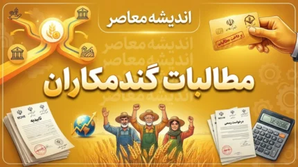 مطالبات گندمکاران ۱۴۰۵؛ آخرین خبر از پرداخت پول گندم و وعده تسویه تا پایان شهریور
