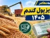 واریز پول گندم ۱۴۰۵ به مراحل پایانی رسید؛ تسویه کامل مطالبات تا پایان شهریورماه