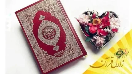 تفاوت عفو و صفح چیست؟ بررسی معنای عفو و صفح در قرآن و آموزه‌های دینی