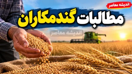 آخرین خبر از واریز مطالبات گندمکاران در ۲۱ مهر ۱۴۰۵؛ زمان تسویه کامل پول گندم اعلام شد